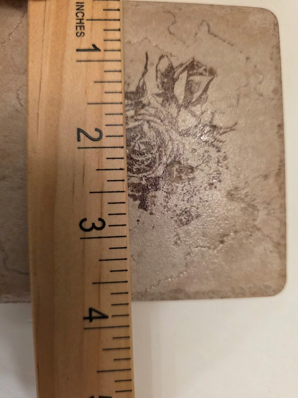 Set of 4 Floral Stone Coasters - Beige with Brown Rose Print